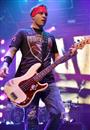 Todd Harrell : Band Member | CFF Radio
